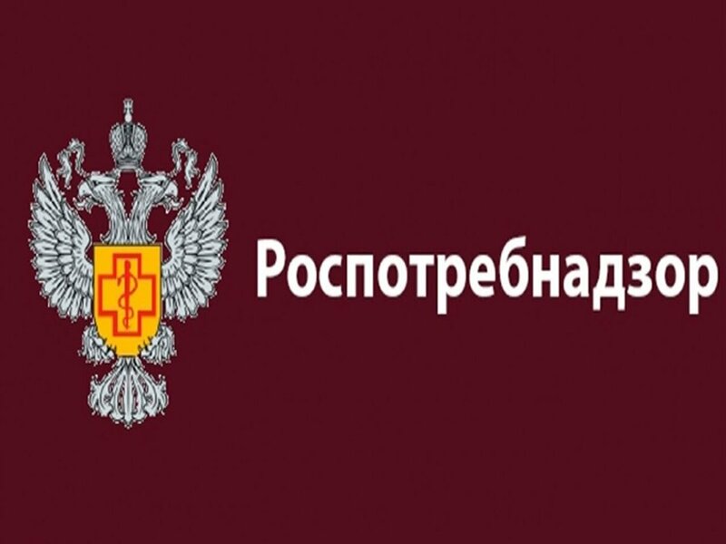 Рекомендации по выбору овощей и фруктов в летний период.